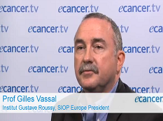 Interview avec Gilles Vassal : questions sur l'ENCCA