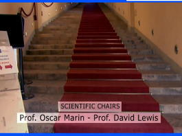Interview avec Oscar Marin and David Lewis (comité scientifique) Interview avec Oscar Marin and David Lewis (comité scientifique)