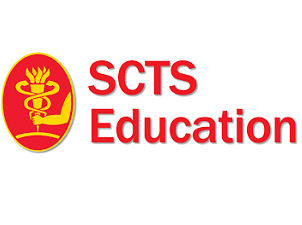 Intraoperative CABG graft and aortic assessment