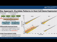 Investigating the Relationship between the Host Cell Transcriptome and Transfection Efficiency Investigating the Relationship between the Host Cell Transcriptome and Transfection Efficiency