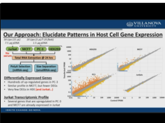 Investigating the Relationship between the Host Cell Transcriptome and Transfection Efficiency Investigating the Relationship between the Host Cell Transcriptome and Transfection Efficiency