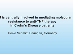 Is centrally involved in mediating molecular resistance to anti-TNF therapy