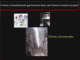 Is there a gap between basic and clinical research on pain? Is there a gap between basic and clinical research on pain?