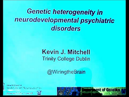 Kevin Mitchell - Hétérogénéité des troubles neuro-développementaux Kevin Mitchell - Hétérogénéité des troubles neuro-développementaux