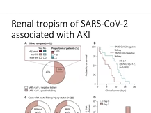 Kidney Week 2020 Reimagined: Critical Illness and AKI in COVID-19: What Have We Learned? Kidney Week 2020 Reimagined: Critical Illness and AKI in COVID-19: What Have We Learned?