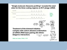 Kidney Week 2020 Reimagined: Plenary: State-of-the-Art Lecture and 2020 ASN Business Meeting