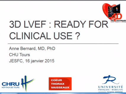 L'echographie 3D enfin utilisable