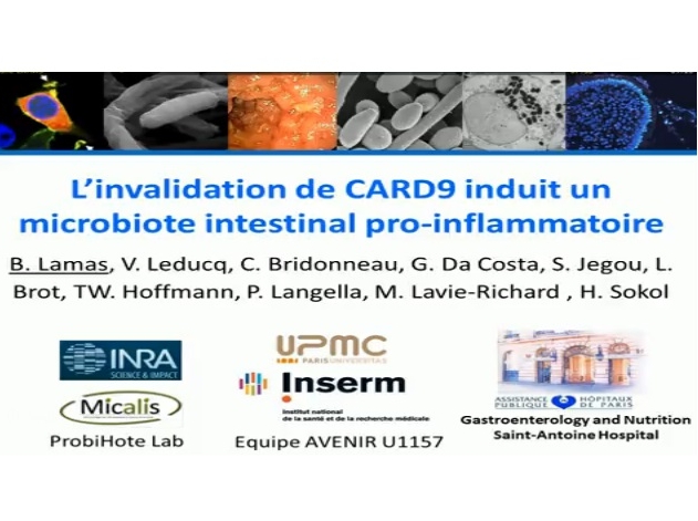 L’invalidation de CARD9 induit un microbiote intestinal pro-inflammatoire