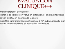 Lésion du plan ligamentaire latéral du genou dans les sports de combat Lésion du plan ligamentaire latéral du genou dans les sports de combat
