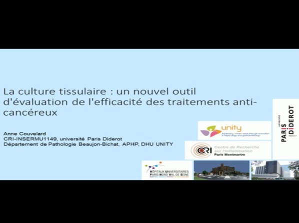 La culture tissulaire : un nouvel outil d'évaluation de l'efficacité des traitements anti-cancéreux La culture tissulaire : un nouvel outil d'évaluation de l'efficacité des traitements anti-cancéreux