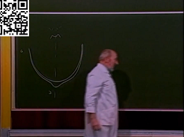 La fosse cérébrale postérieure II - Les parois méningées