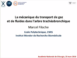 La mécanique du transport de gaz et de fluides dans l'arbre trachéobronchique