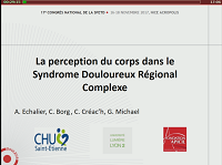La perception du corps dans le syndrome douloureux régional complexe La perception du corps dans le syndrome douloureux régional complexe