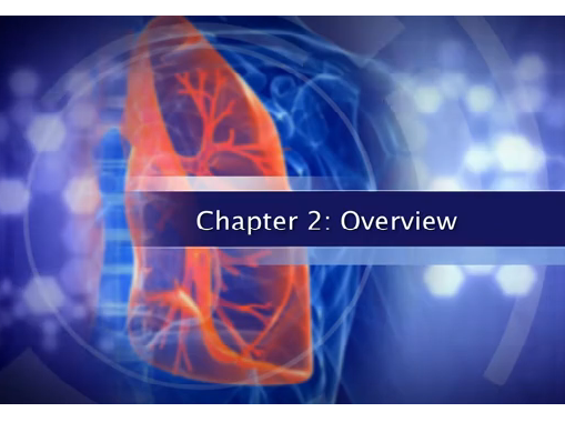 L'atlas du Dr Todd Demmy - lobectomie thoracoscopique - Aperçu