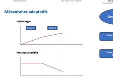 Le choc dans tous ses états