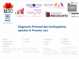 Le diagnostic anténatal des cardiopathies opérées le premier jour Le diagnostic anténatal des cardiopathies opérées le premier jour