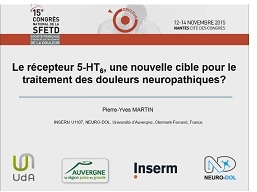 Le récepteur 5-HT6, une nouvelle cible pour le traitement des douleurs neuropathiques? Le récepteur 5-HT6, une nouvelle cible pour le traitement des douleurs neuropathiques?