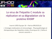Le virus de l’hépatite C (VHC) module sa réplication et sa dégradation via la protétine KHSRP Le virus de l’hépatite C (VHC) module sa réplication et sa dégradation via la protétine KHSRP