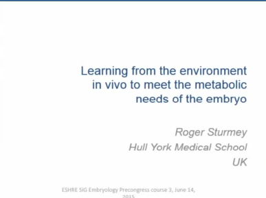 Learning from the in vivo environment to meet the changing metabolic demands of the embryo Learning from the in vivo environment to meet the changing metabolic demands of the embryo