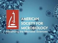 Learning how Lactobacilli adhere will help develop better probiotics