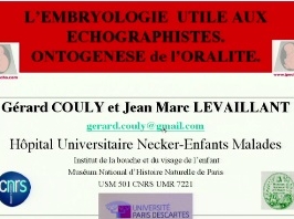 L'embryologie utile aux échographistes et ontogenèse de l'oralité L'embryologie utile aux échographistes et ontogenèse de l'oralité