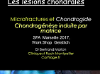 Les lésions chondrales. Microfractures et Chondrogide. Chondrogénèse induite par matrice Les lésions chondrales. Microfractures et Chondrogide. Chondrogénèse induite par matrice