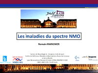 Les maladies du spectre NMO