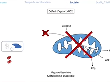 Les marqueurs du quotidien (signes cliniques, biologiques et hémodynamiques)