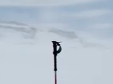 Les masques anti-Covid face à la physique | Reportage CNRS Les masques anti-Covid face à la physique | Reportage CNRS