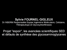 Les nouvelles avancées scientifiques sur le syndrome d Ehler