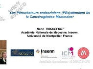 Les Perturbateurs endocriniens (PEs) stimulent ils la Cancérogènèse Mammaire?