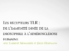 Les récepteurs TLR : de l'immunité innée de la Drosophile à l'athérosclérose humaine Les récepteurs TLR : de l'immunité innée de la Drosophile à l'athérosclérose humaine