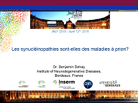 Les synucléinopathies : des maladies à prions ?