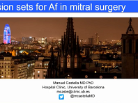 Lesion sets for AF during mitral surgery