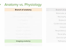 Levels of Structural Organization
