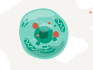 Limb-Girdle Muscular Dystrophy and Gene Therapy