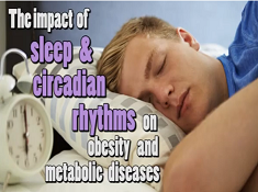 L'impact du sommeil and des rythmes circadiens sur  l'alimentation, l'obésité et les maladies métaboliques L'impact du sommeil and des rythmes circadiens sur  l'alimentation, l'obésité et les maladies métaboliques