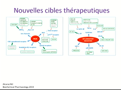 L'inhibiteur de cathepsine K pour l'arthrose - la lumière au bout du tunnel ?