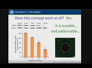 Lipid Nanoparticle Delivery Technology for siRNA and mRNA Therapeutics Lipid Nanoparticle Delivery Technology for siRNA and mRNA Therapeutics