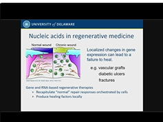 Lipid Nanoparticle Delivery Technology for siRNA and mRNA Therapeutics