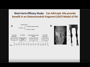 Local scAAV.IL-1Ra Delivery for Osteoarthritis in an Equine Model: Long Term Safety and Efficacy Local scAAV.IL-1Ra Delivery for Osteoarthritis in an Equine Model: Long Term Safety and Efficacy