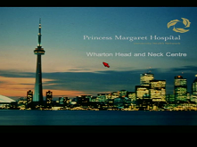 Locally Advanced Head and Neck Cancer 2 Locally Advanced Head and Neck Cancer 2