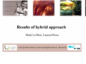 Lone AF surgery - Results of hybrid approach