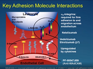 Loss of Response to Anti-TNFs  What Should I Do Next?