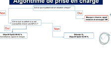 L'oxygénation nasale haut débit