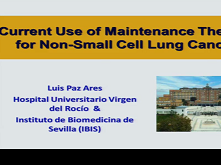Lung Cancer in 2013: State of the Art Therapy for Metastatic Disease 3 Lung Cancer in 2013: State of the Art Therapy for Metastatic Disease 3