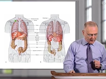 Lung Topography - Anatomy Lung Topography - Anatomy