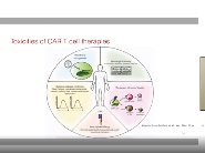 Mécanismes des nouvelles immunothérapies via les lymphocytes CAR