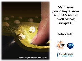 Mécanismes périphériques de la sensibilité tactile : quels canaux ioniques ? Mécanismes périphériques de la sensibilité tactile : quels canaux ioniques ?