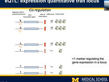 Machine learning approaches for psoriasis research | Alex Tsoi, PHD | Ann Arbor, Michigan, USA Machine learning approaches for psoriasis research | Alex Tsoi, PHD | Ann Arbor, Michigan, USA